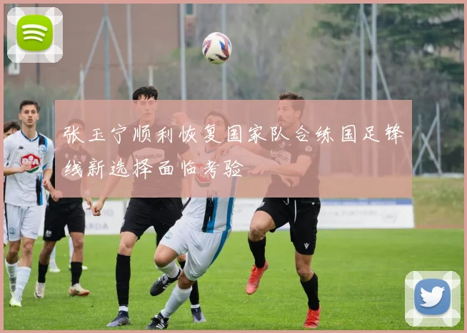 张玉宁顺利恢复国家队合练国足锋线新选择面临考验
