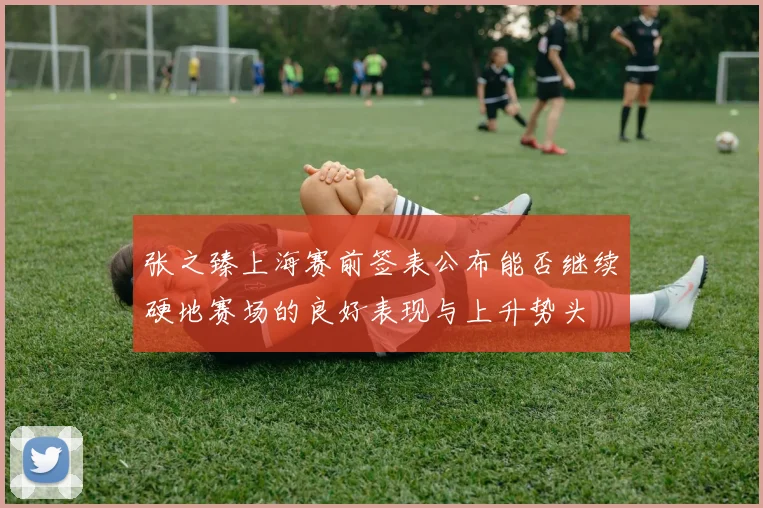 张之臻上海赛前签表公布能否继续硬地赛场的良好表现与上升势头